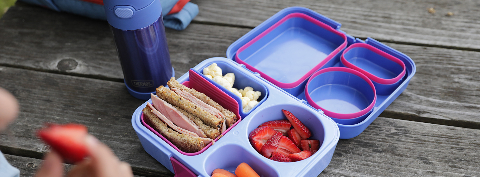 Lunch Boxes Thermos Brand