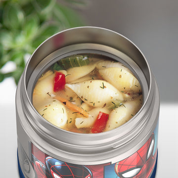 Insulated Food Jar Frozen 2, Stainless Steel Food Jar