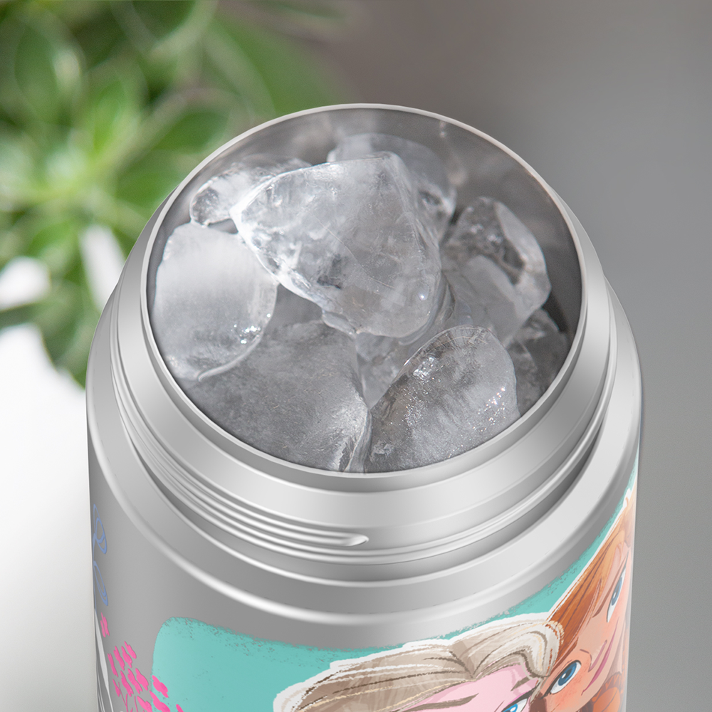 https://thermos.com/cdn/shop/products/f4102fz_frozen_bottle_iceinset_pdp_1800x1800.png?v=1654718908