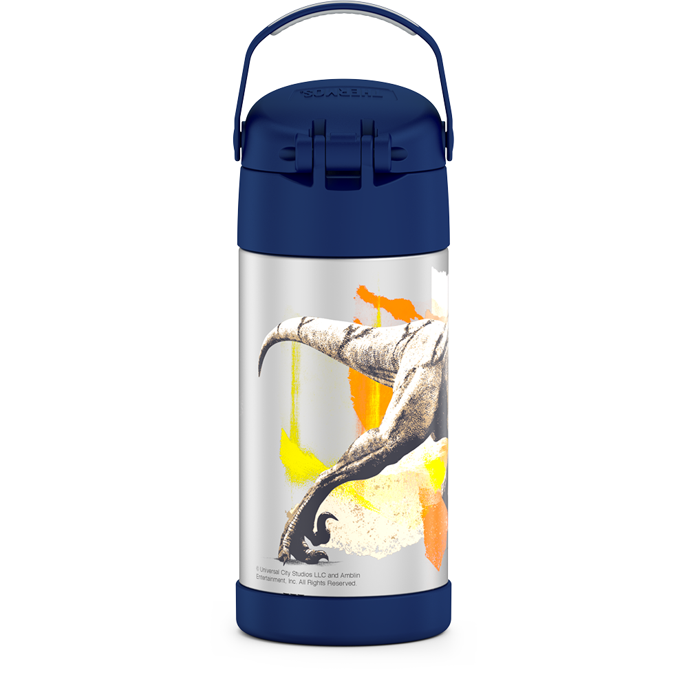 Thermos Kids Stainless Steel Vacuum Insulated Funtainer straw bottle, Blue  Camo, 12oz 