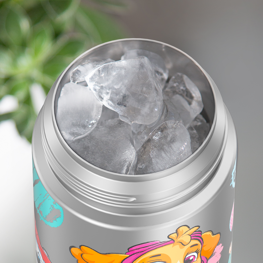 https://thermos.com/cdn/shop/products/f4102ppg_pawpatrolgirl_bottle_iceinset_pdp_1800x1800.png?v=1654786344