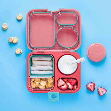 lunchbox bento thermos