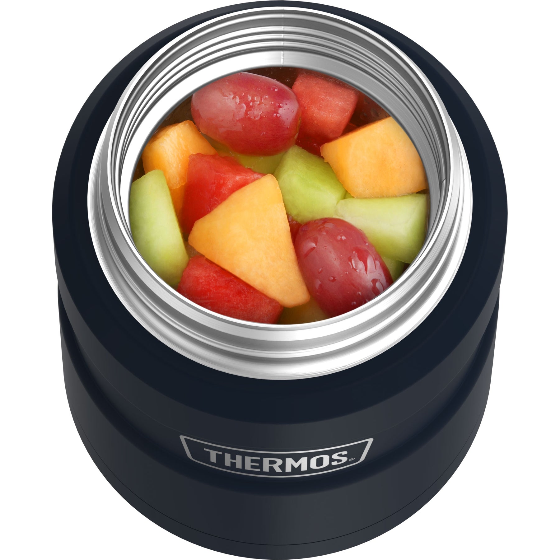 Thermos Stainless Steel King Food Jar 16 Ounce Insulated with