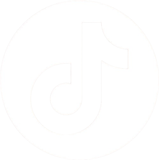 TikTok icon